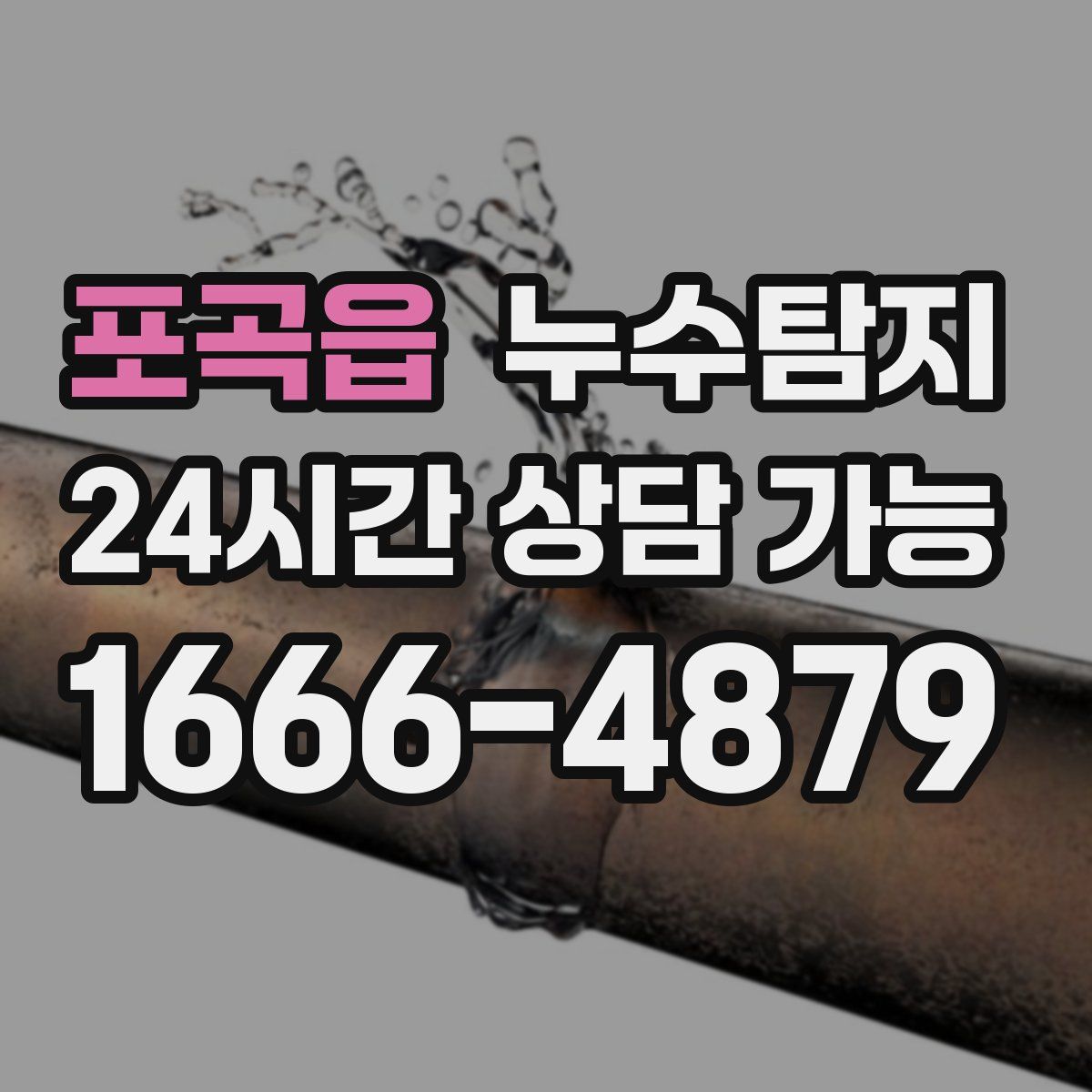 포곡읍 누수탐지