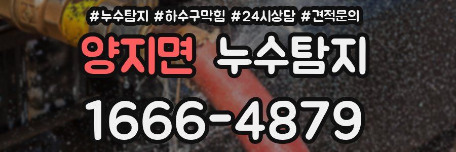 누수탐지