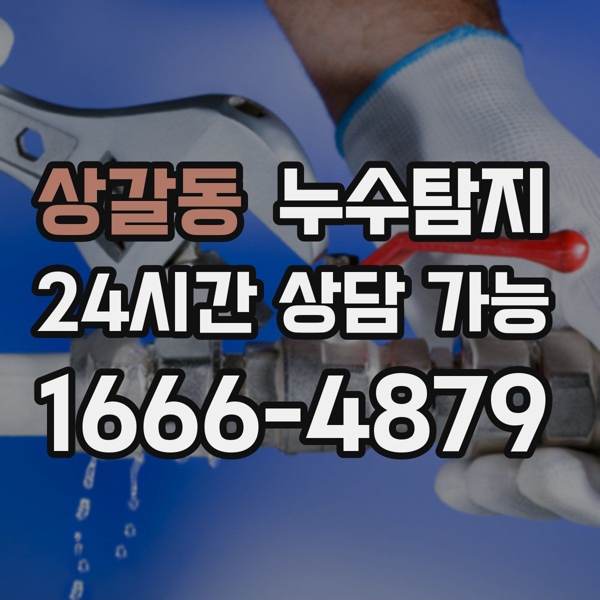 상갈동 누수탐지 학교 시설 점검 사례 공유