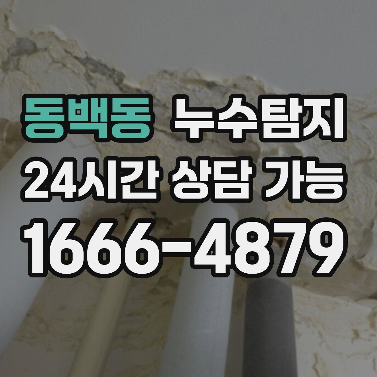 동백동 누수탐지 공용배관 의심 구간 찾은 날