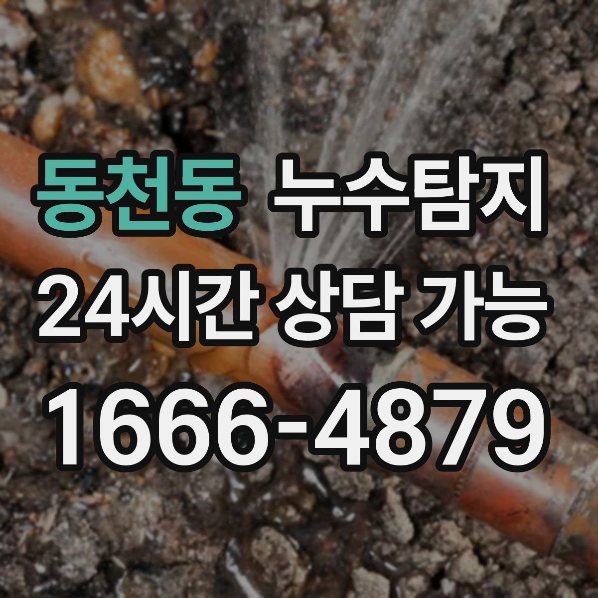 동천동 누수탐지