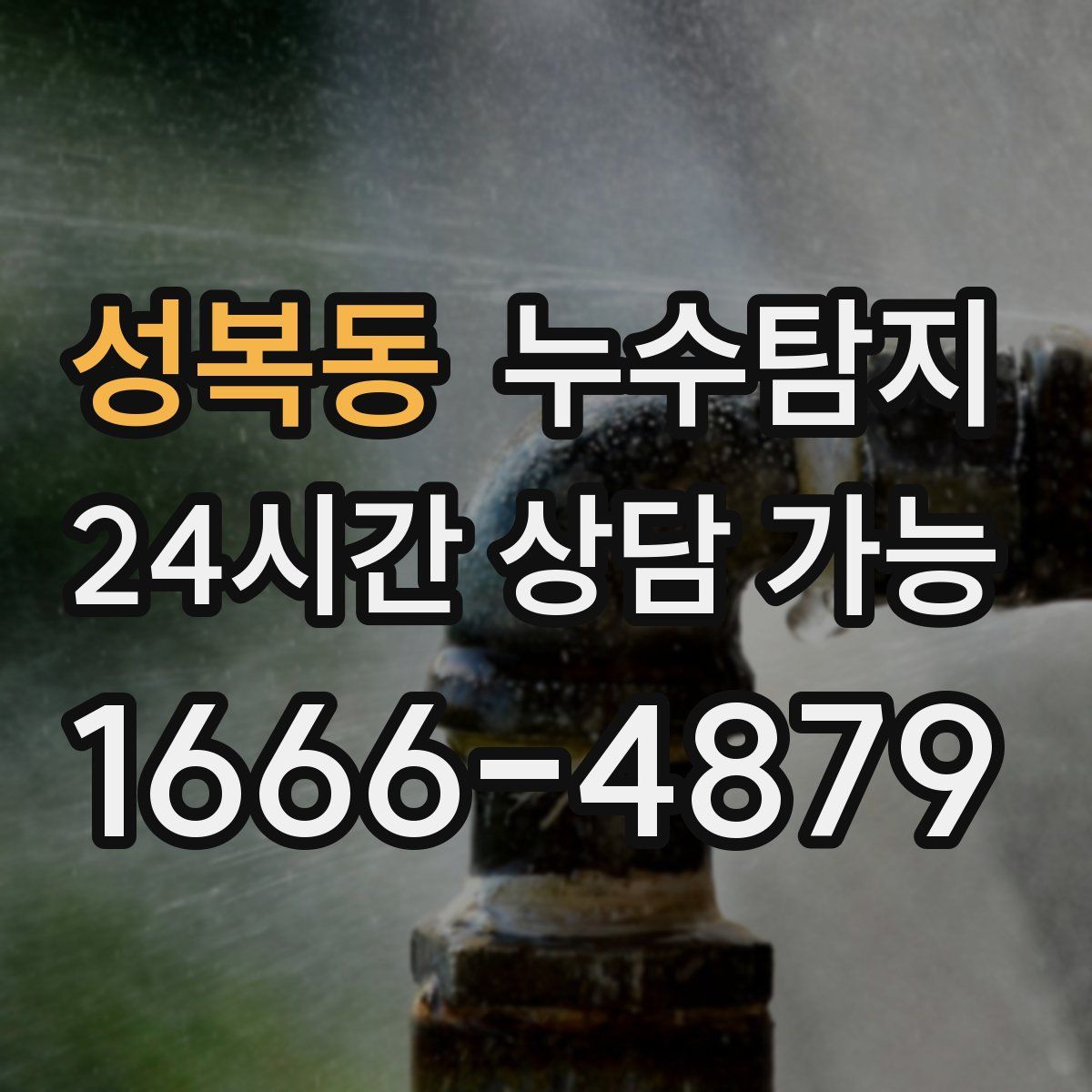 성복동 누수탐지