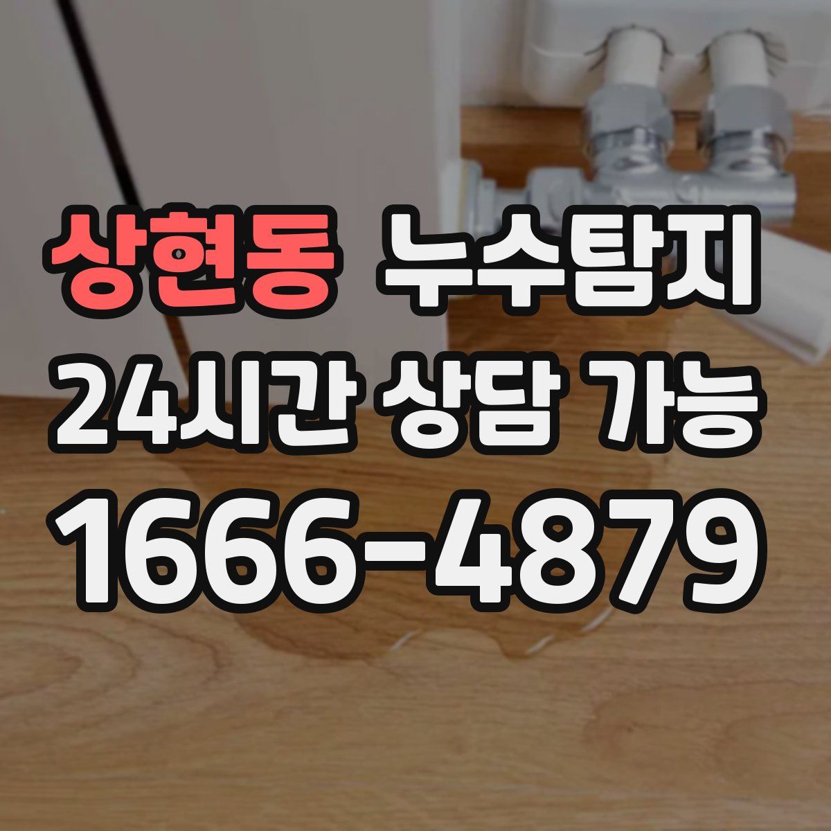 상현동 누수탐지