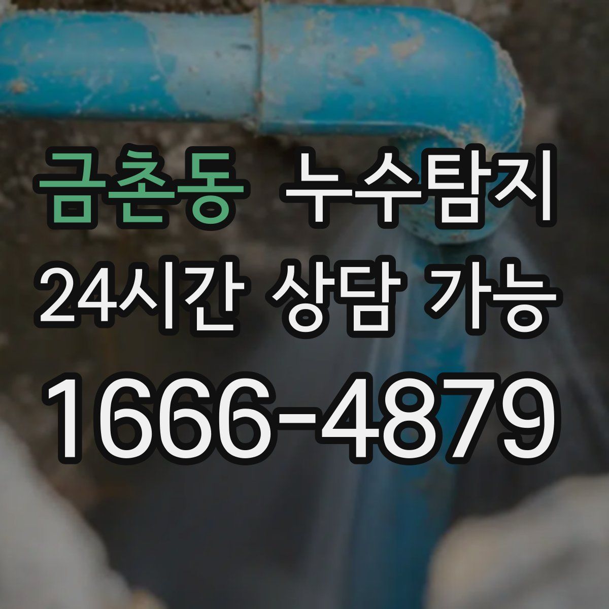 금촌동 누수탐지