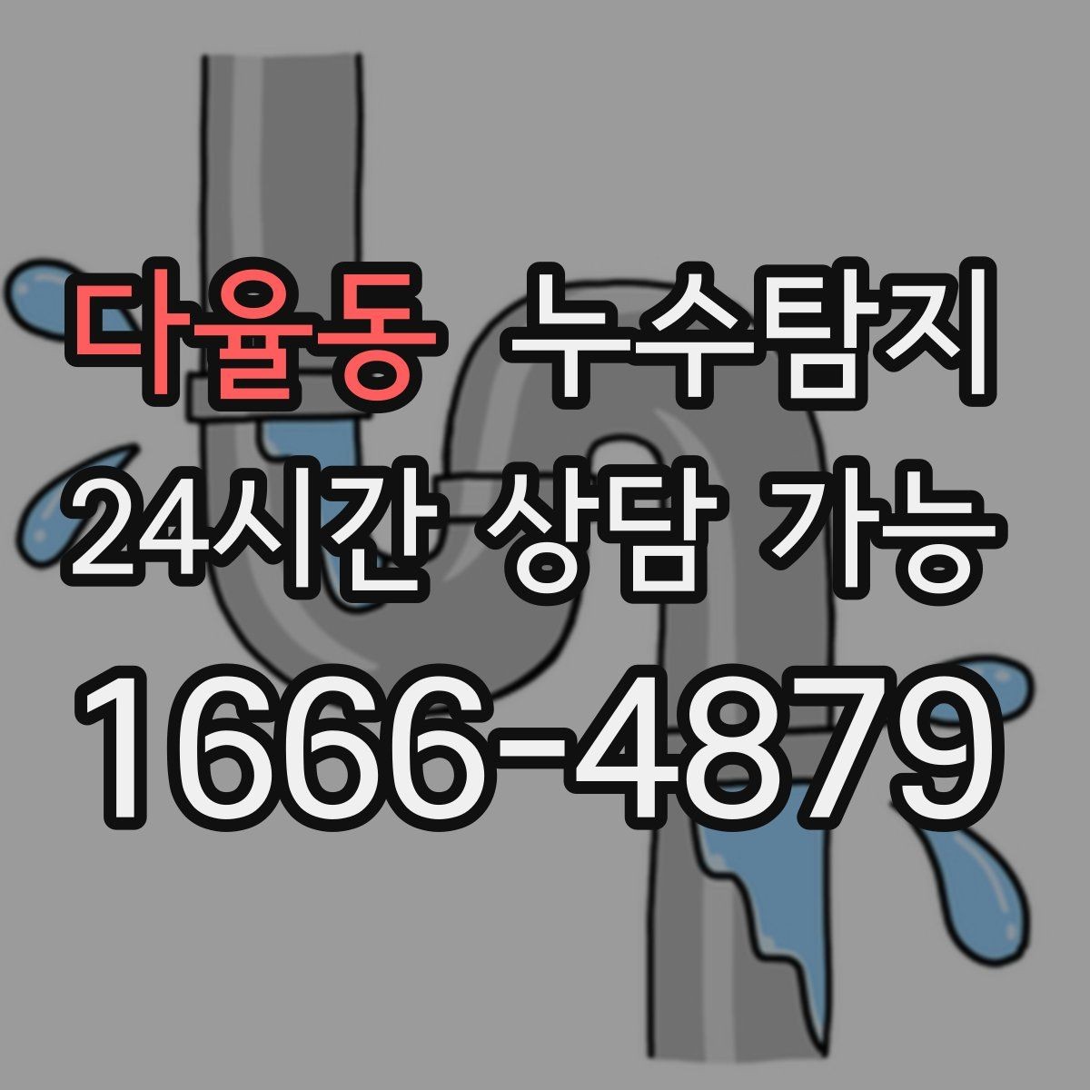 다율동 누수탐지 단독주택 외부 관로 점검 이야기