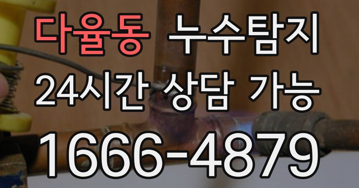 다율동 누수