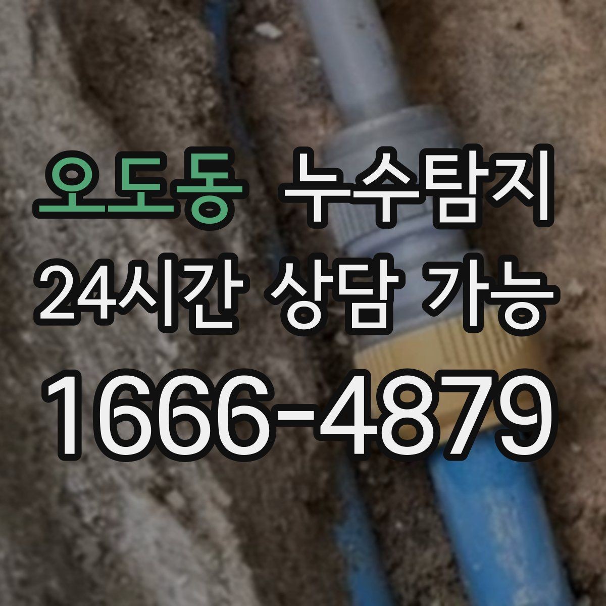 오도동 누수탐지 옥상 지붕 누수 점검