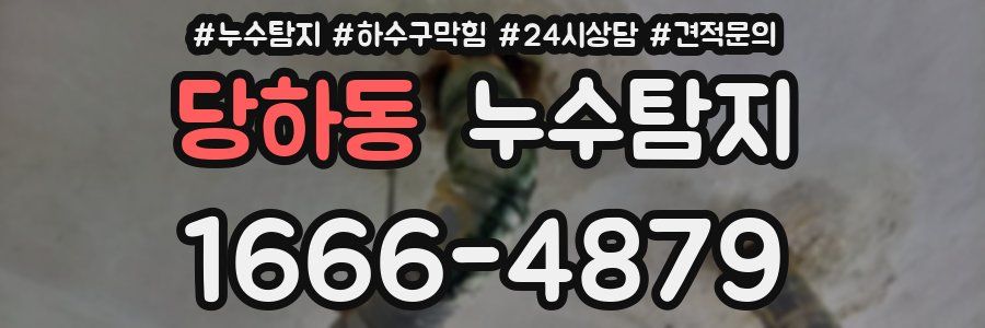 누수탐지
