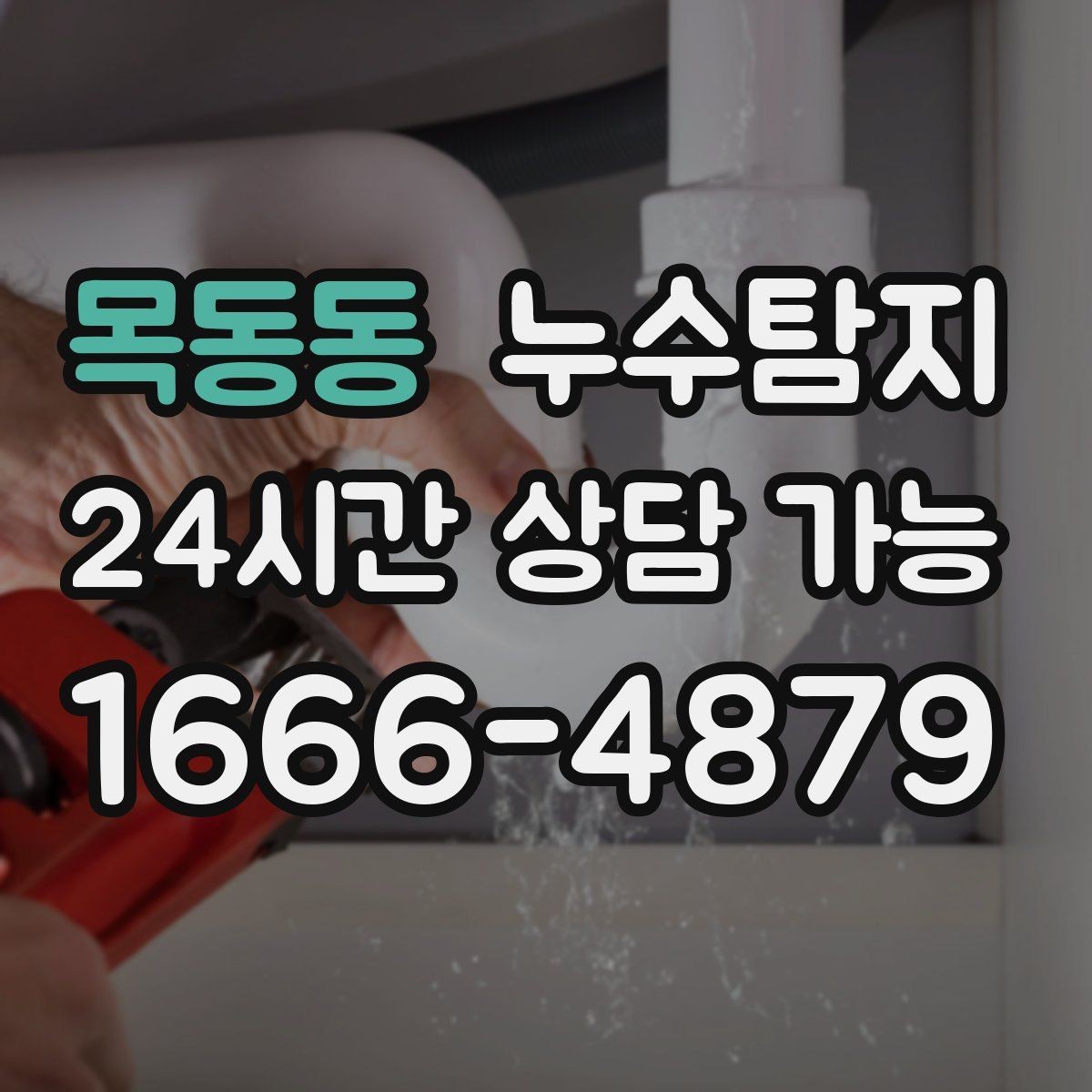 목동동 누수탐지 주말 공휴일 진단 운영