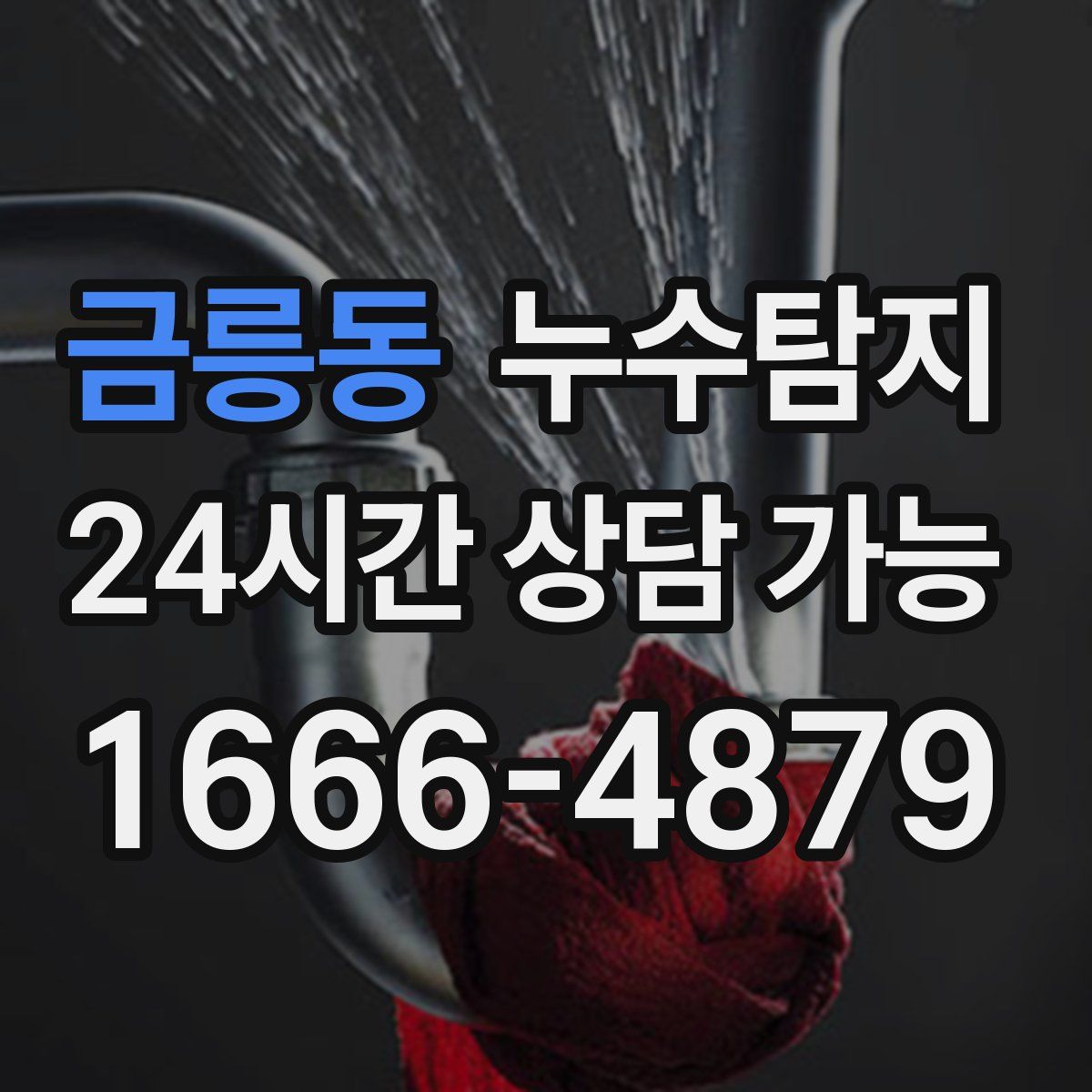 금릉동 누수탐지