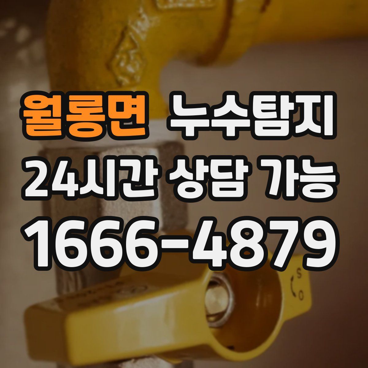 월롱면 누수탐지