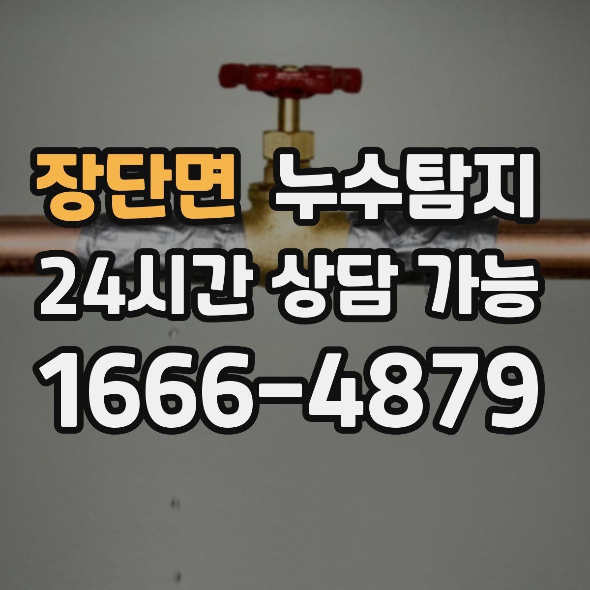 장단면 누수탐지 주말 방문으로 신속하게 해결한 후기