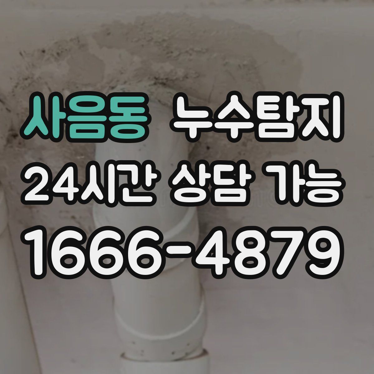 사음동 누수탐지