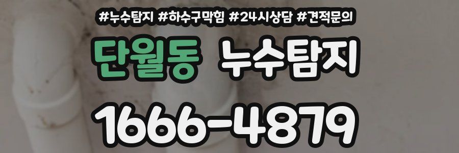 누수탐지