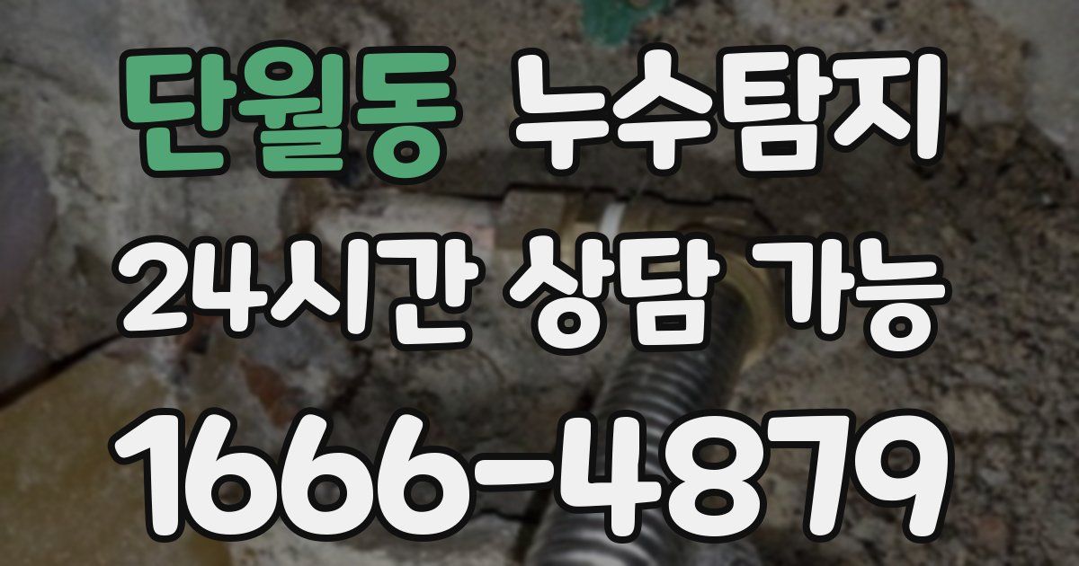 단월동 누수