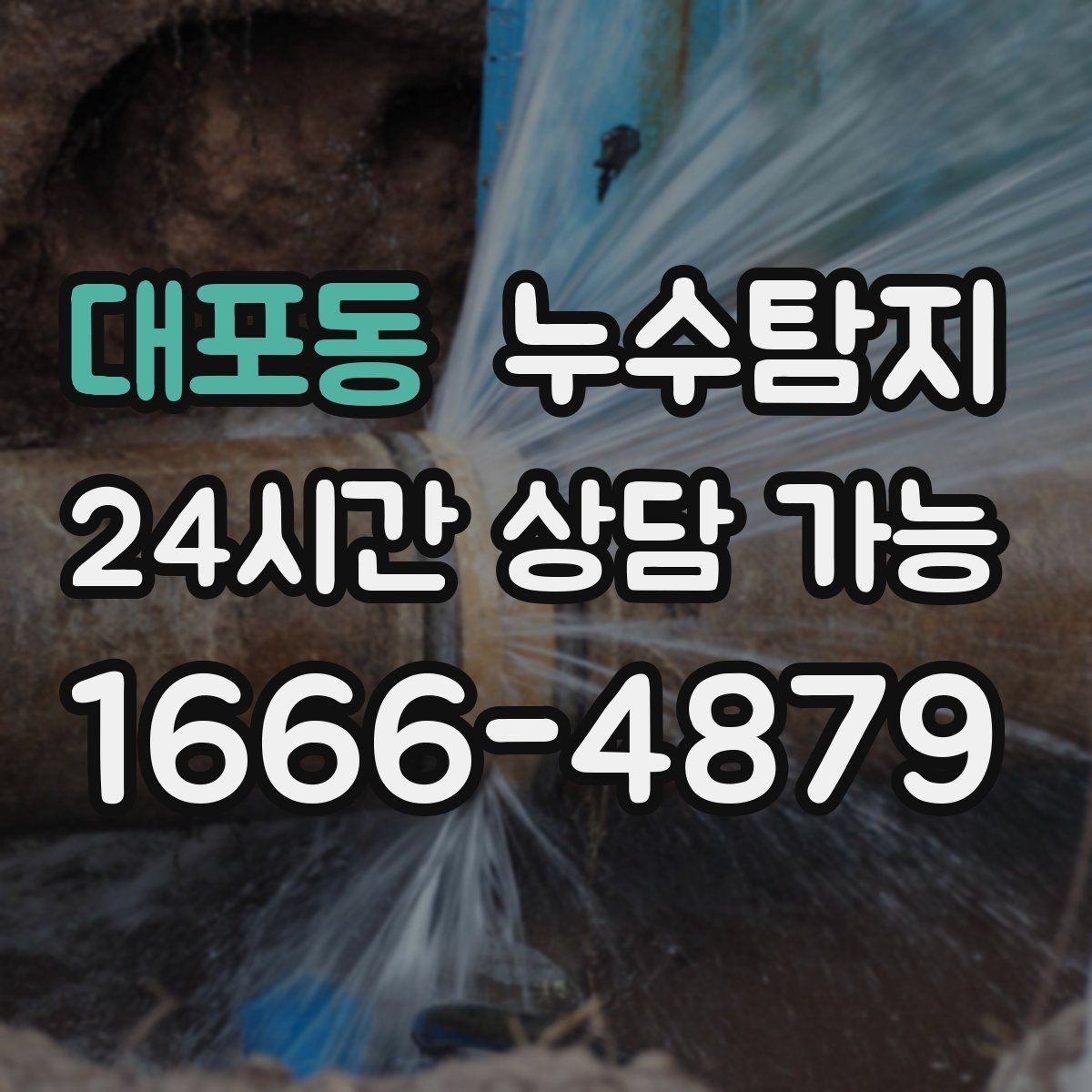 대포동 누수탐지 셀프 점검 후 전문가 호출 타이밍
