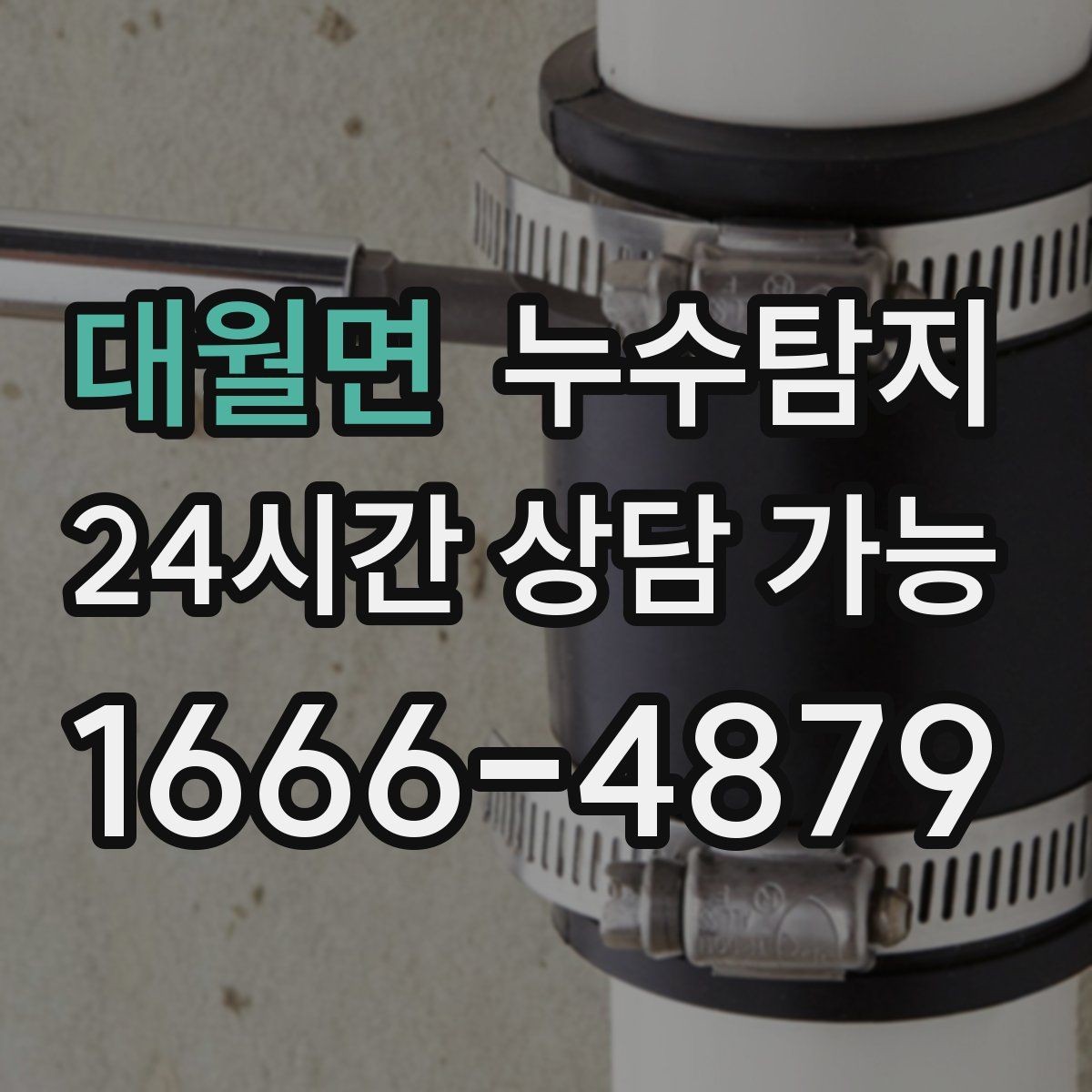 대월면 누수탐지 현관 주변 습기 원인 제거 과정