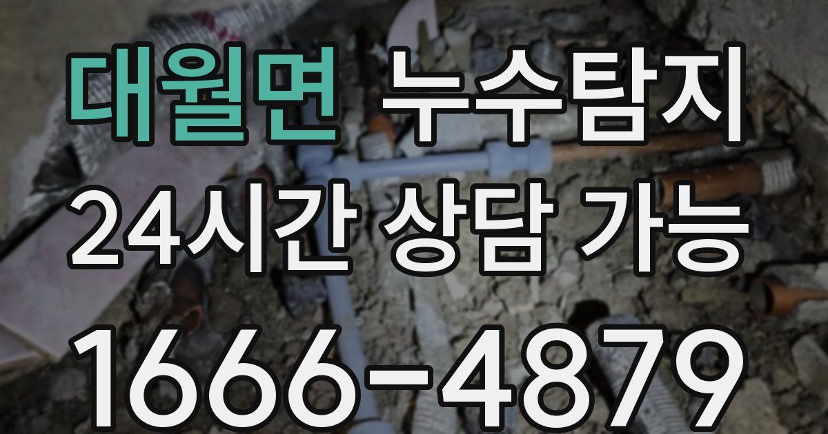 대월면 누수