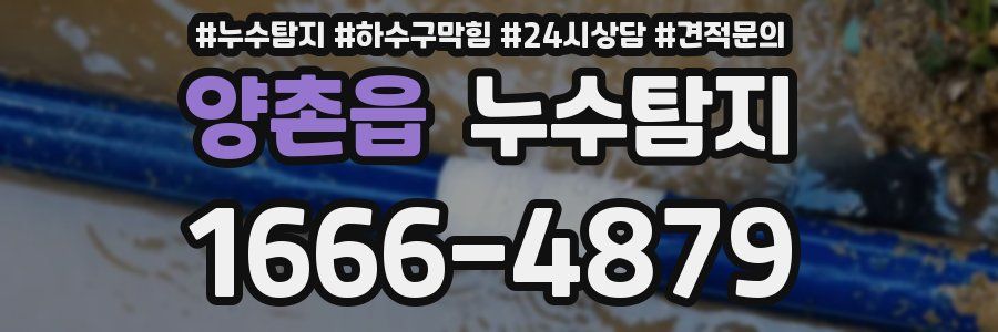 누수탐지