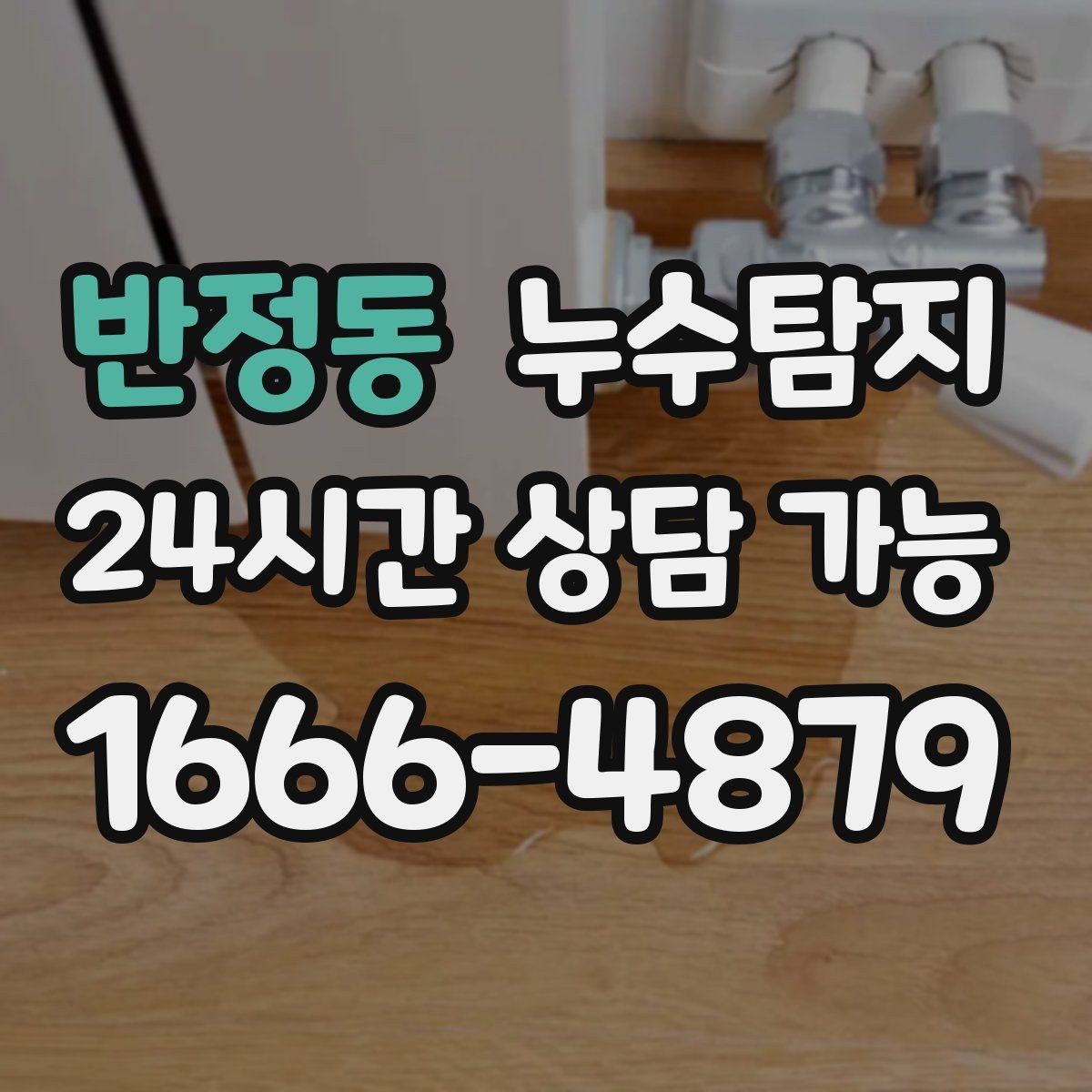 반정동 누수탐지 주말 공휴일 진단 운영