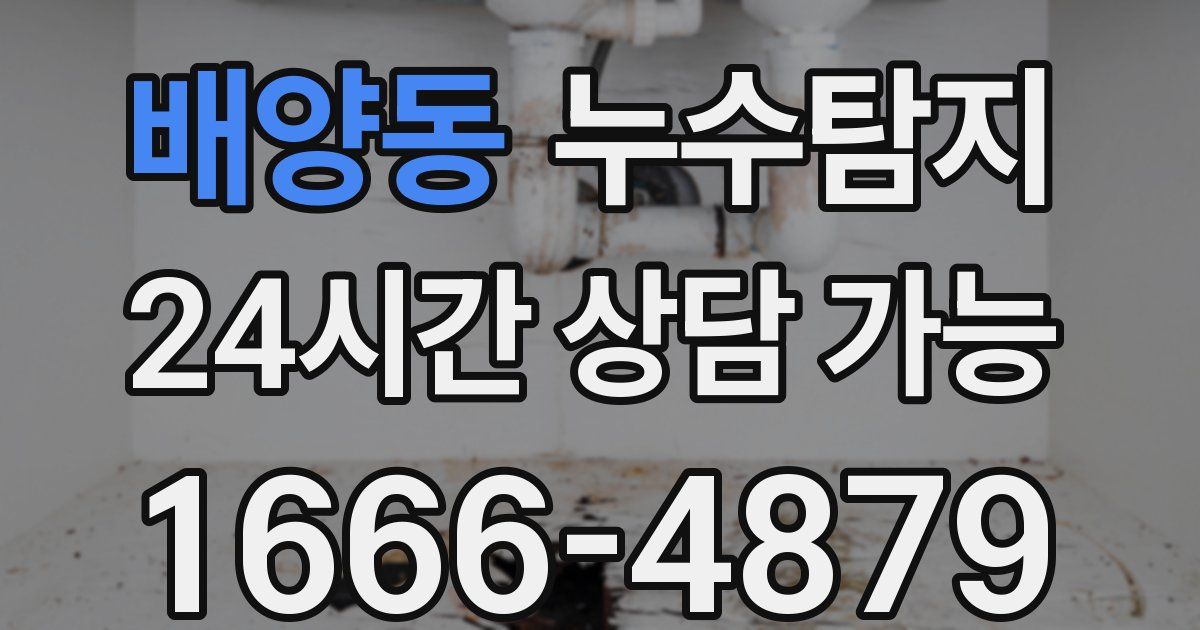 배양동 누수