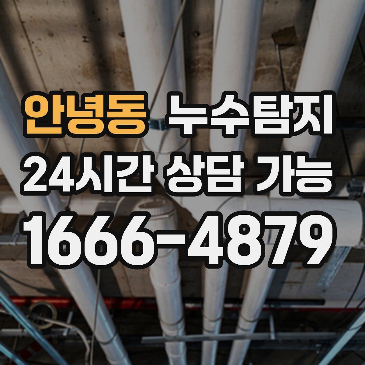 안녕동 누수탐지 상가와 카페 영업 중 점검 노하우