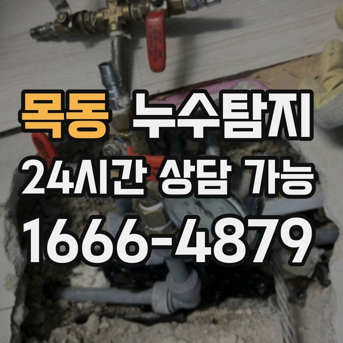 목동 누수탐지 사진 기록 습관이 준 도움
