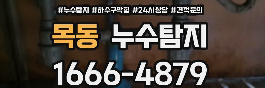 누수탐지