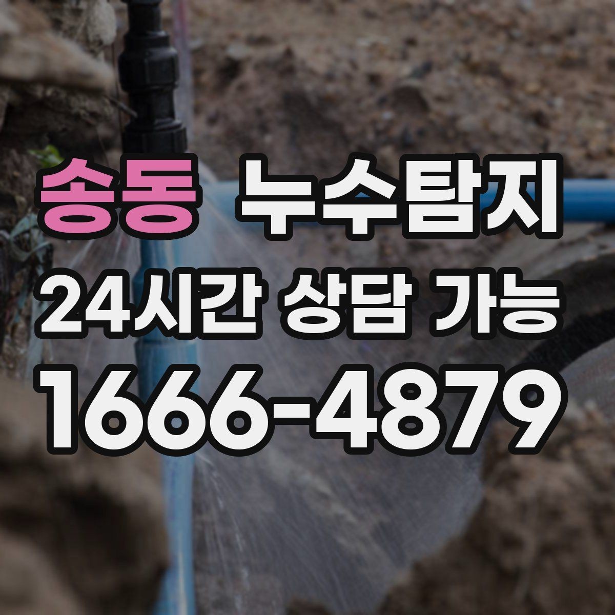 송동 누수탐지 욕실 곰팡이 사라진 변화 이야기