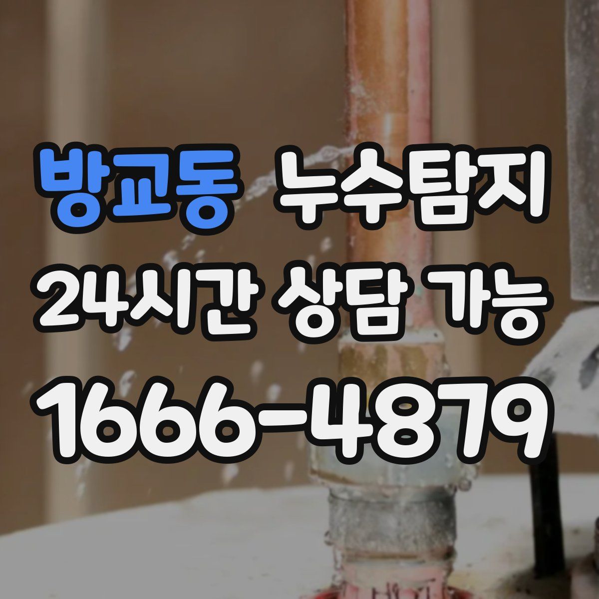 방교동 누수탐지