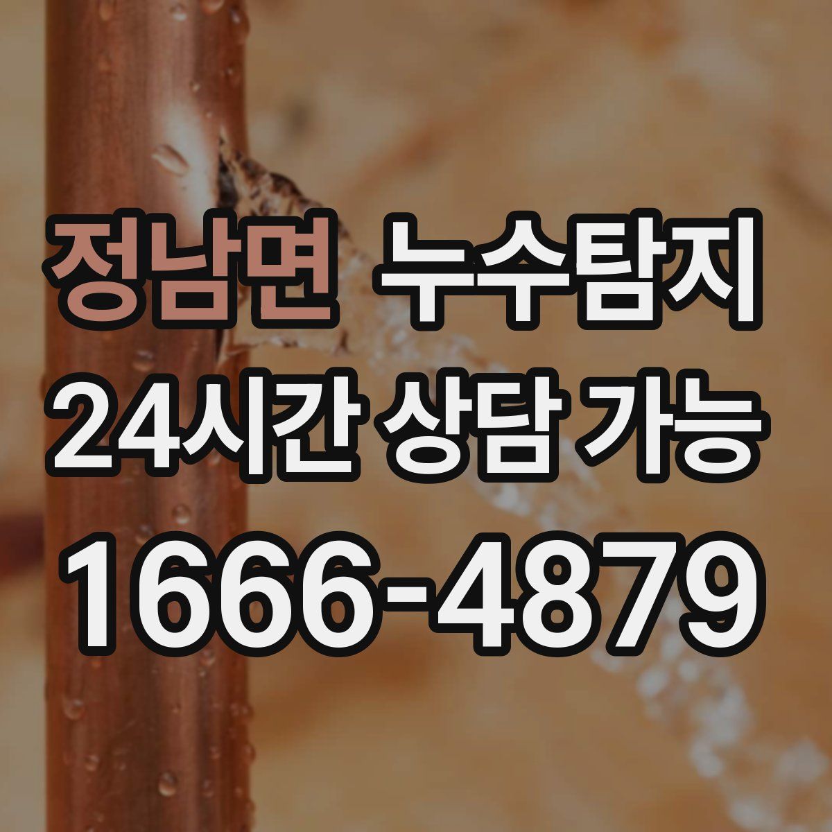 정남면 누수탐지