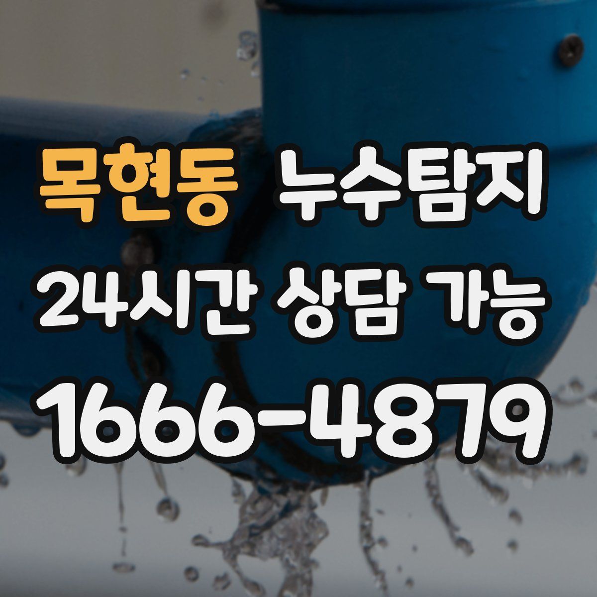 목현동 누수탐지