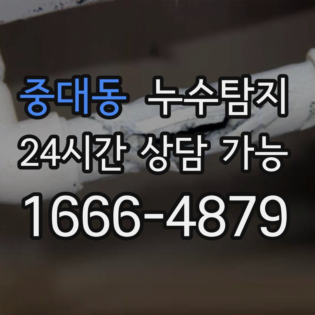중대동 누수탐지 반려가정 배려 점검 후기