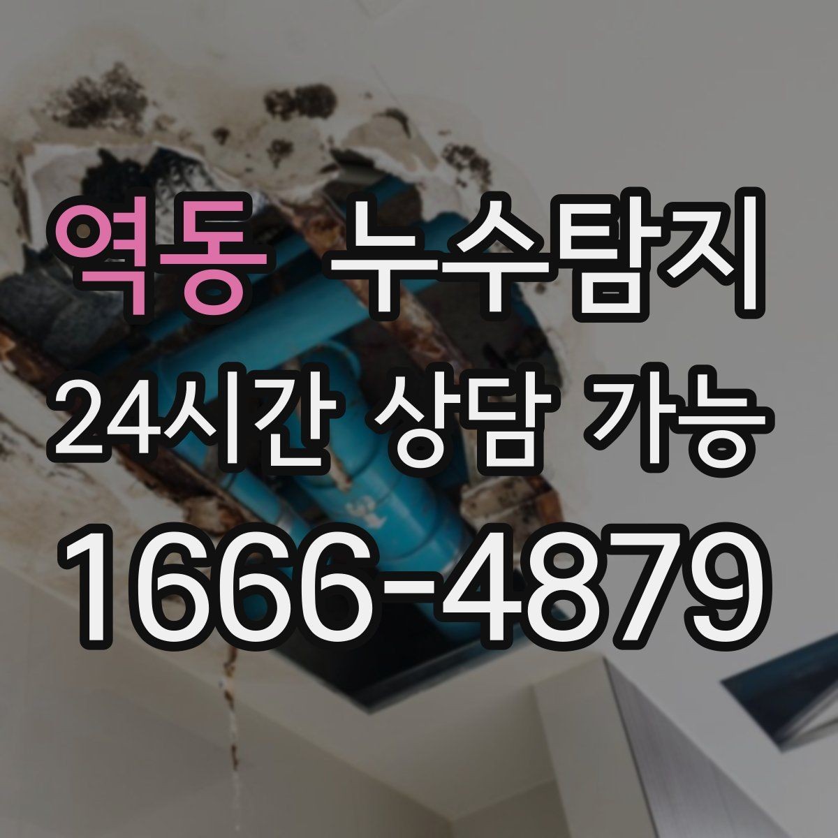 역동 누수탐지 장마철 곰팡이 예방 루틴 공개