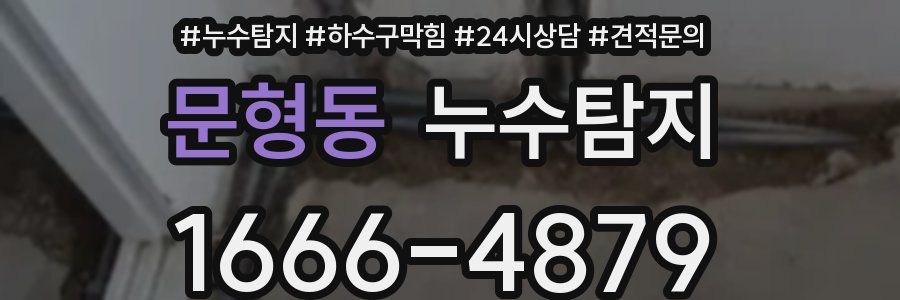누수탐지