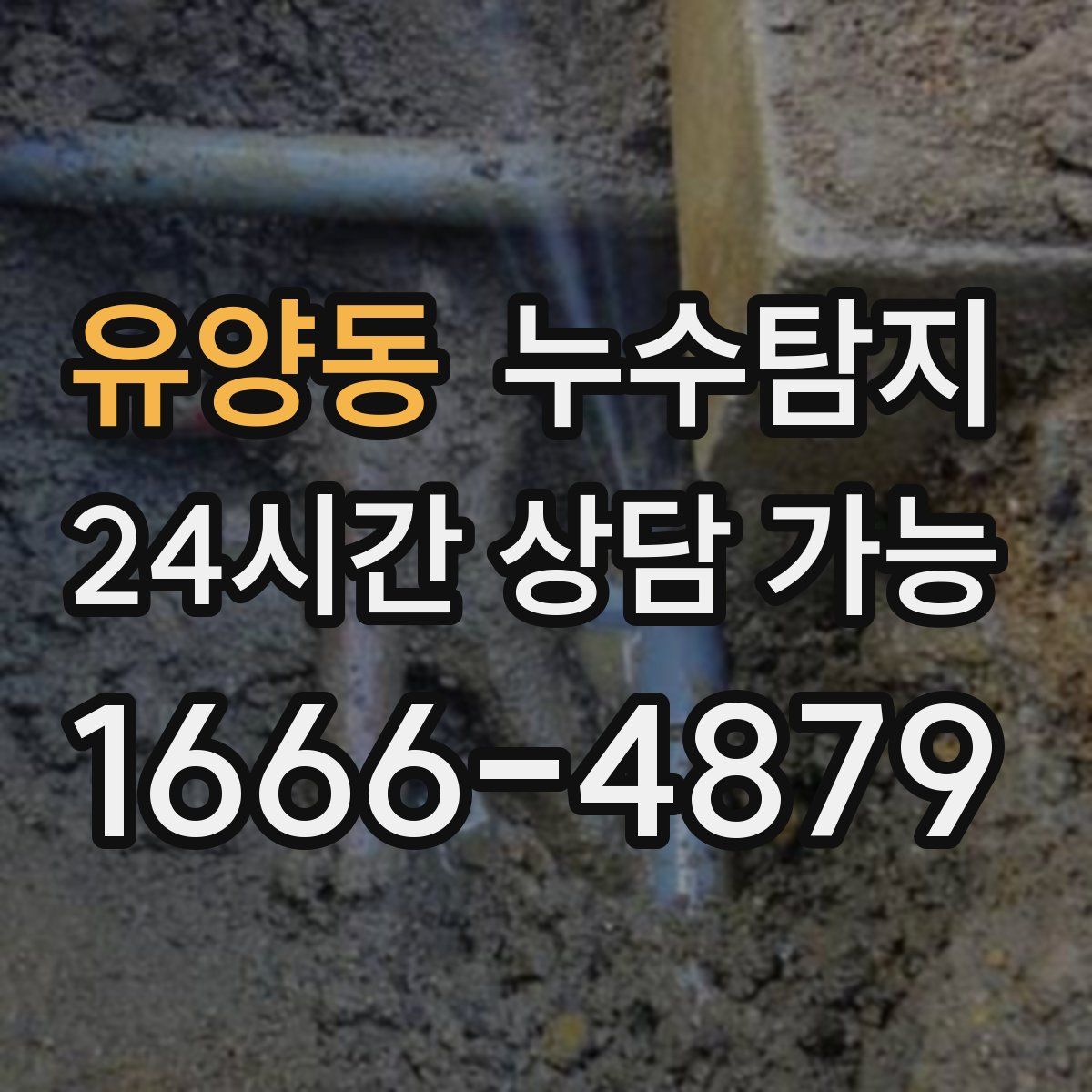유양동 누수탐지