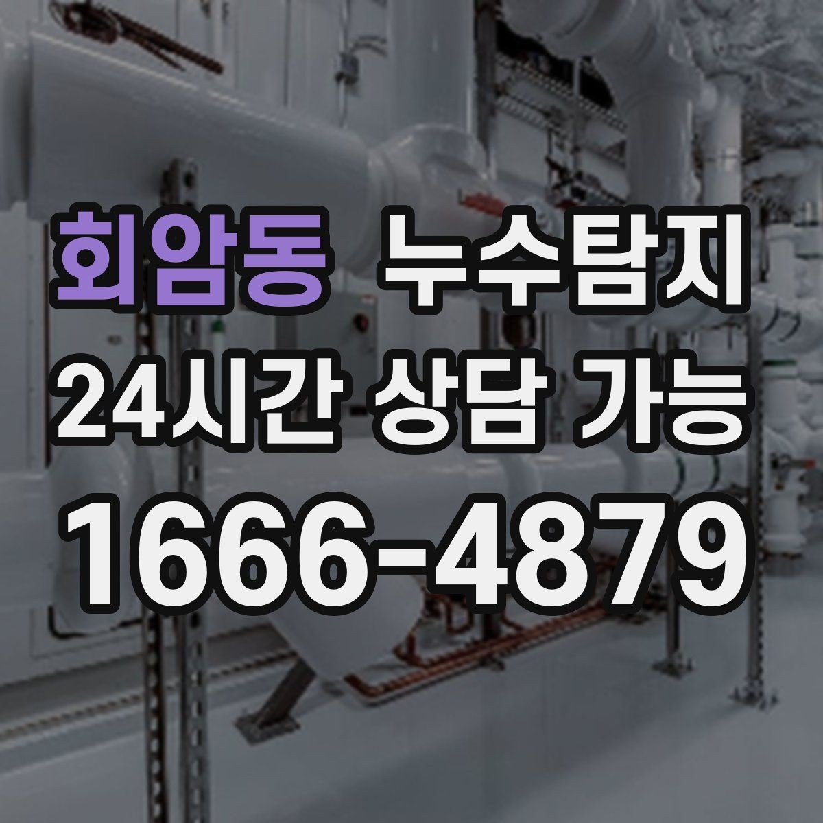 회암동 누수탐지 전문가와 동행한 하루의 기록