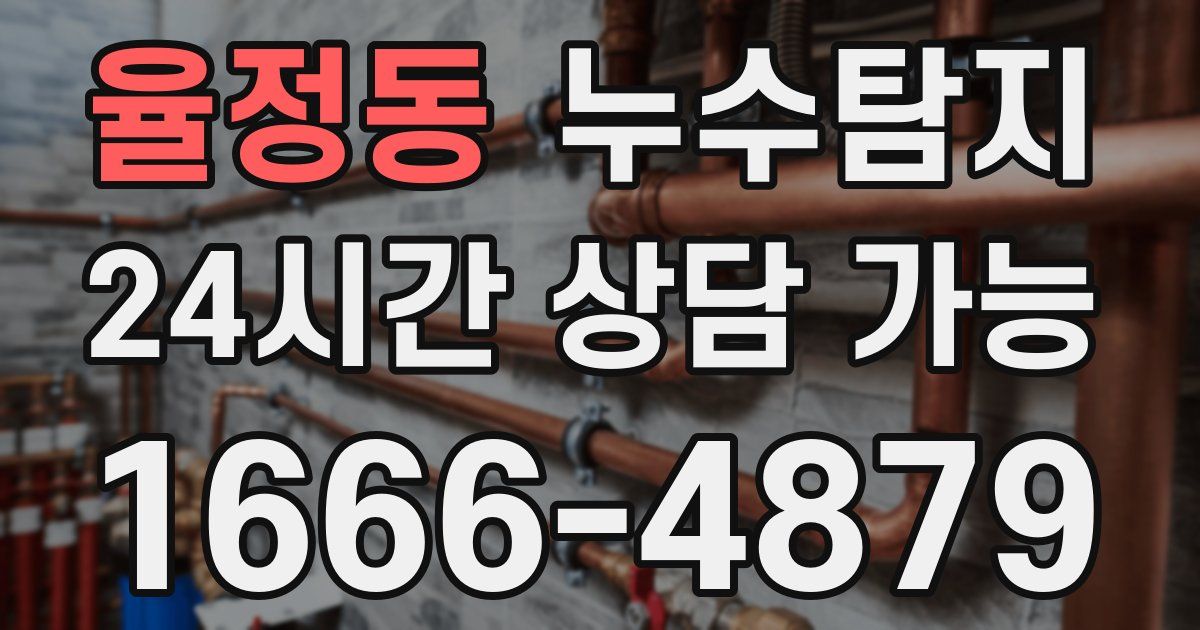 율정동 누수