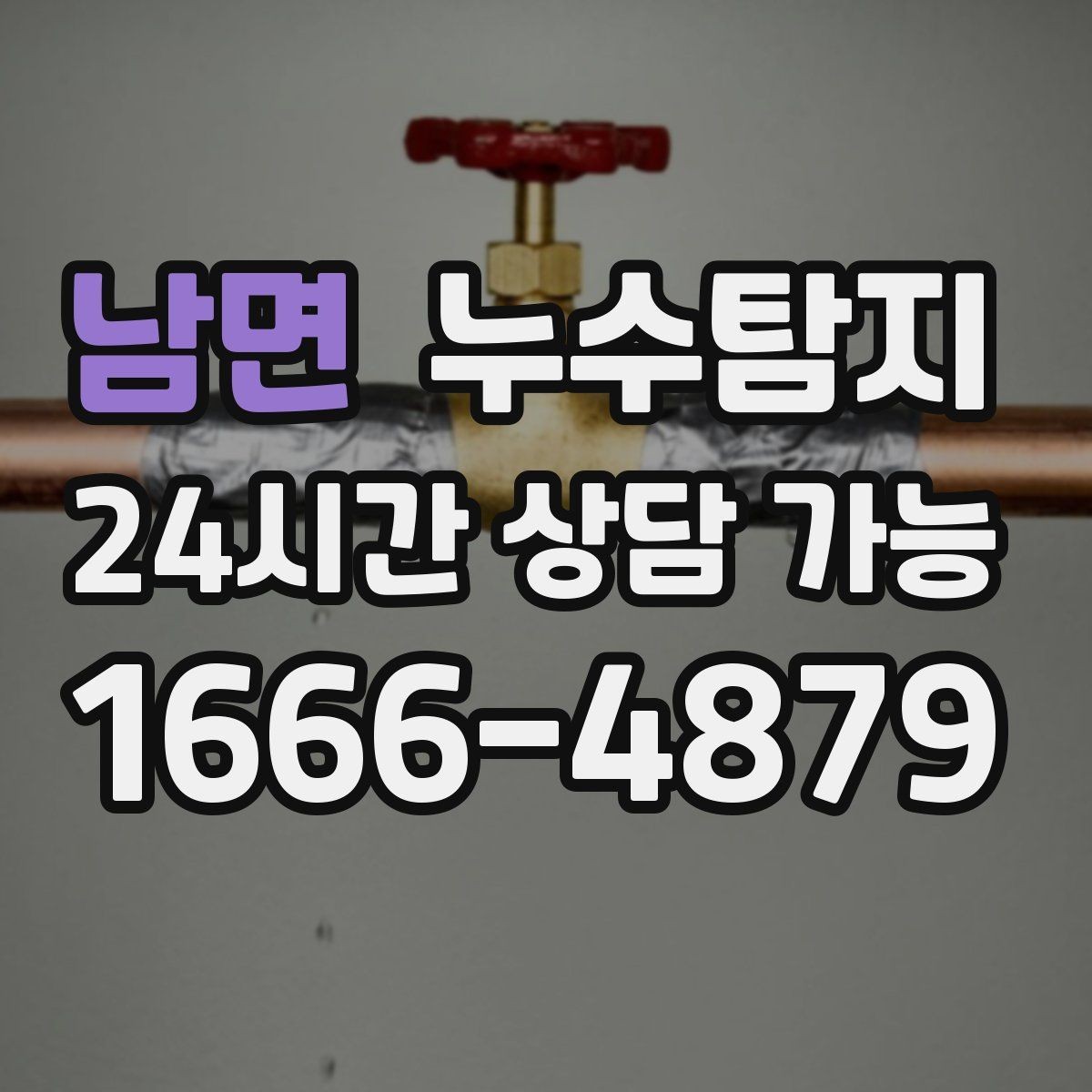 남면 누수탐지 아이와 반려동물을 위한 안전 점검