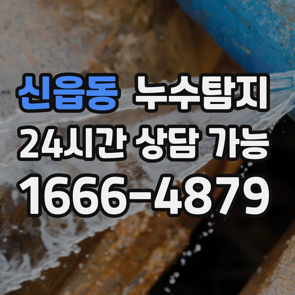신읍동 누수탐지 방수층 손상 진단에서 복구까지