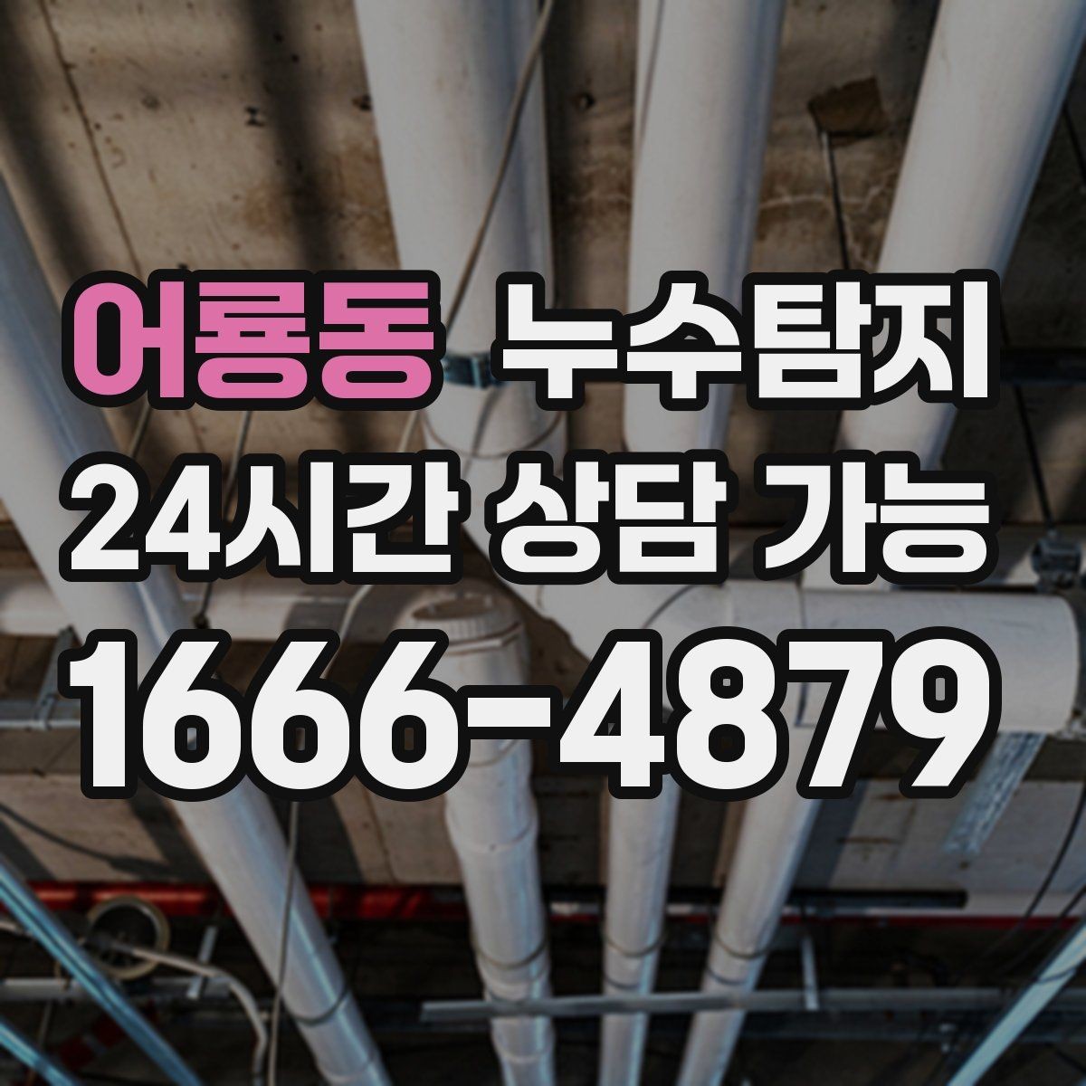 어룡동 누수탐지 빠른 방문으로 막은 2차 피해