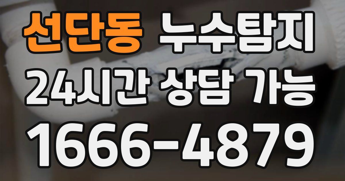 선단동 누수