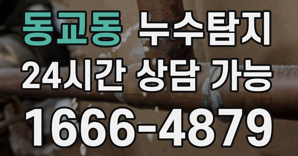 동교동 누수