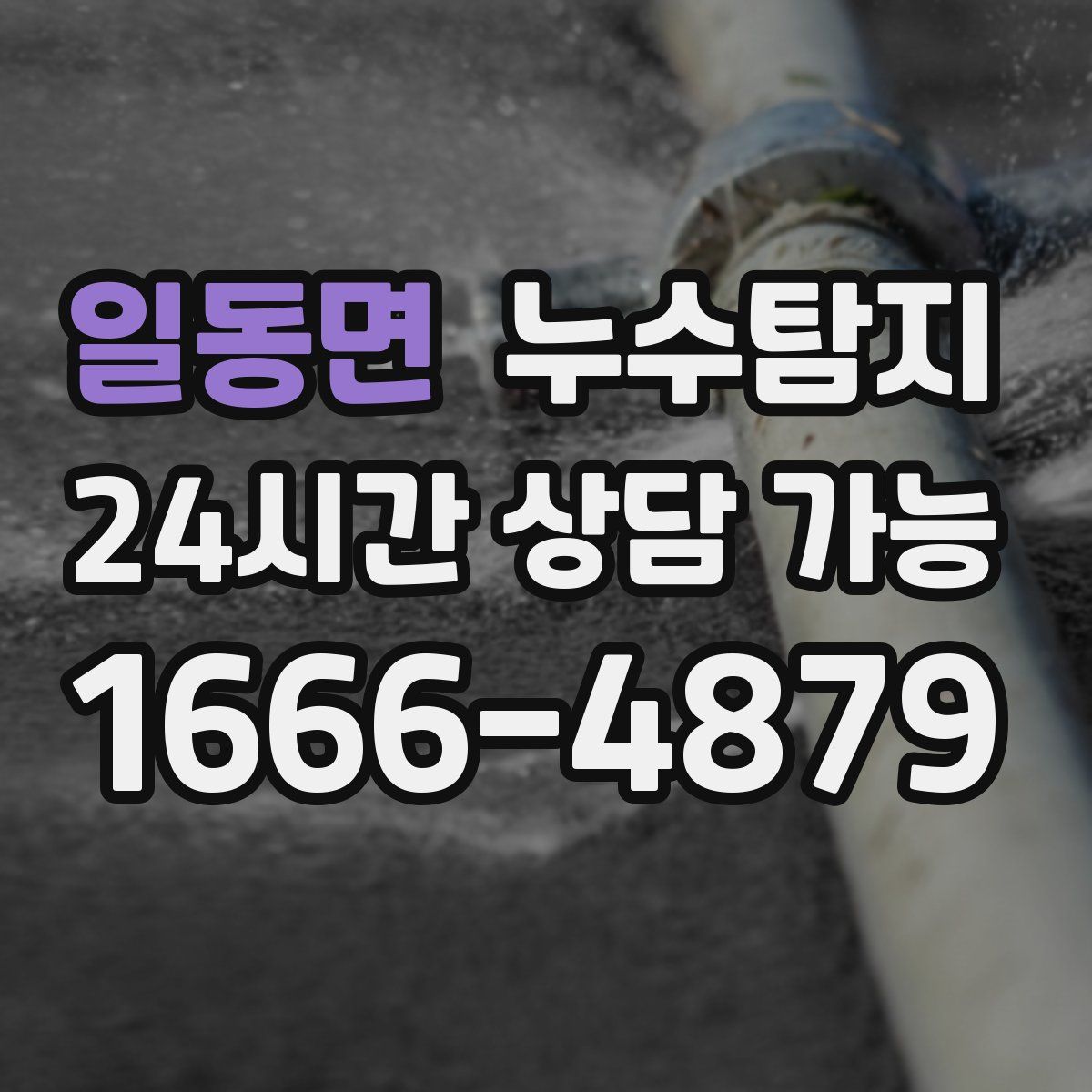 일동면 누수탐지