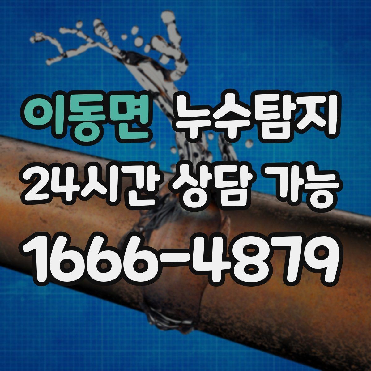 이동면 누수탐지 상가 영업 중 조용한 점검기