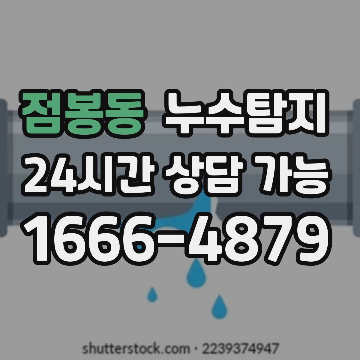 점봉동 누수탐지