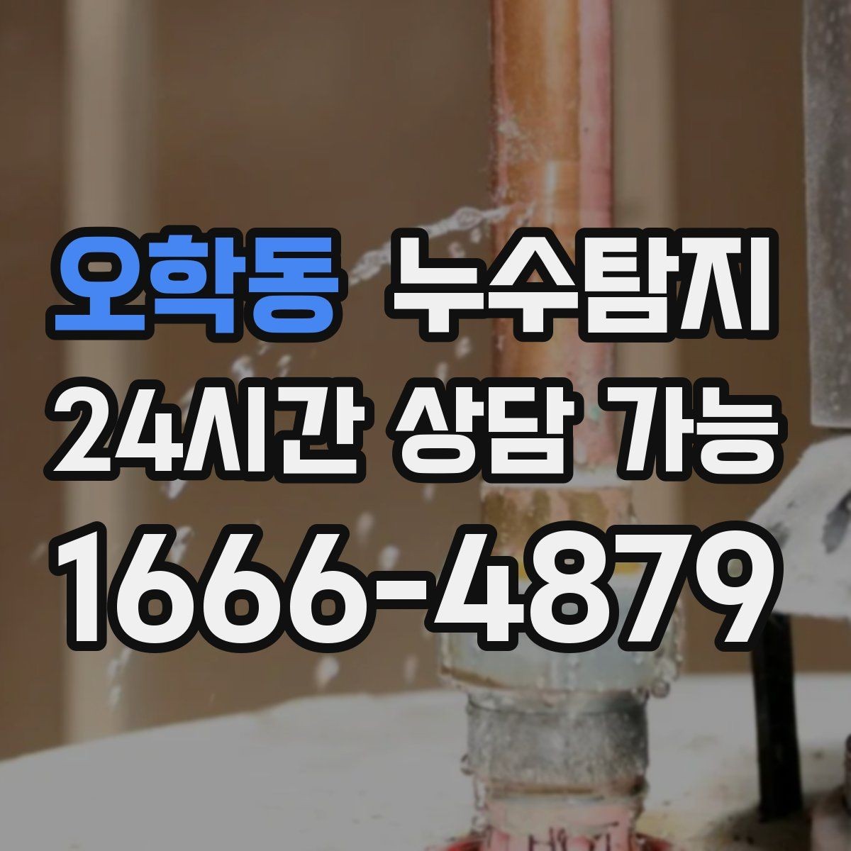 오학동 누수탐지 천정 점검구 활용한 빠른 판정