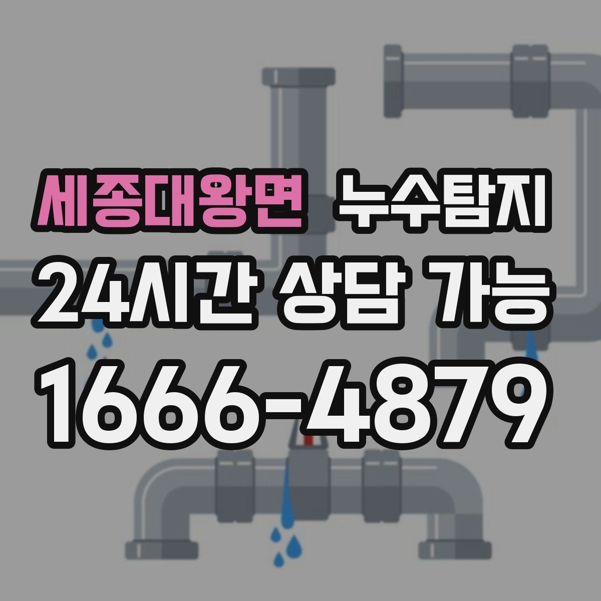 세종대왕면 누수탐지 예약부터 복구까지 전 과정 케어