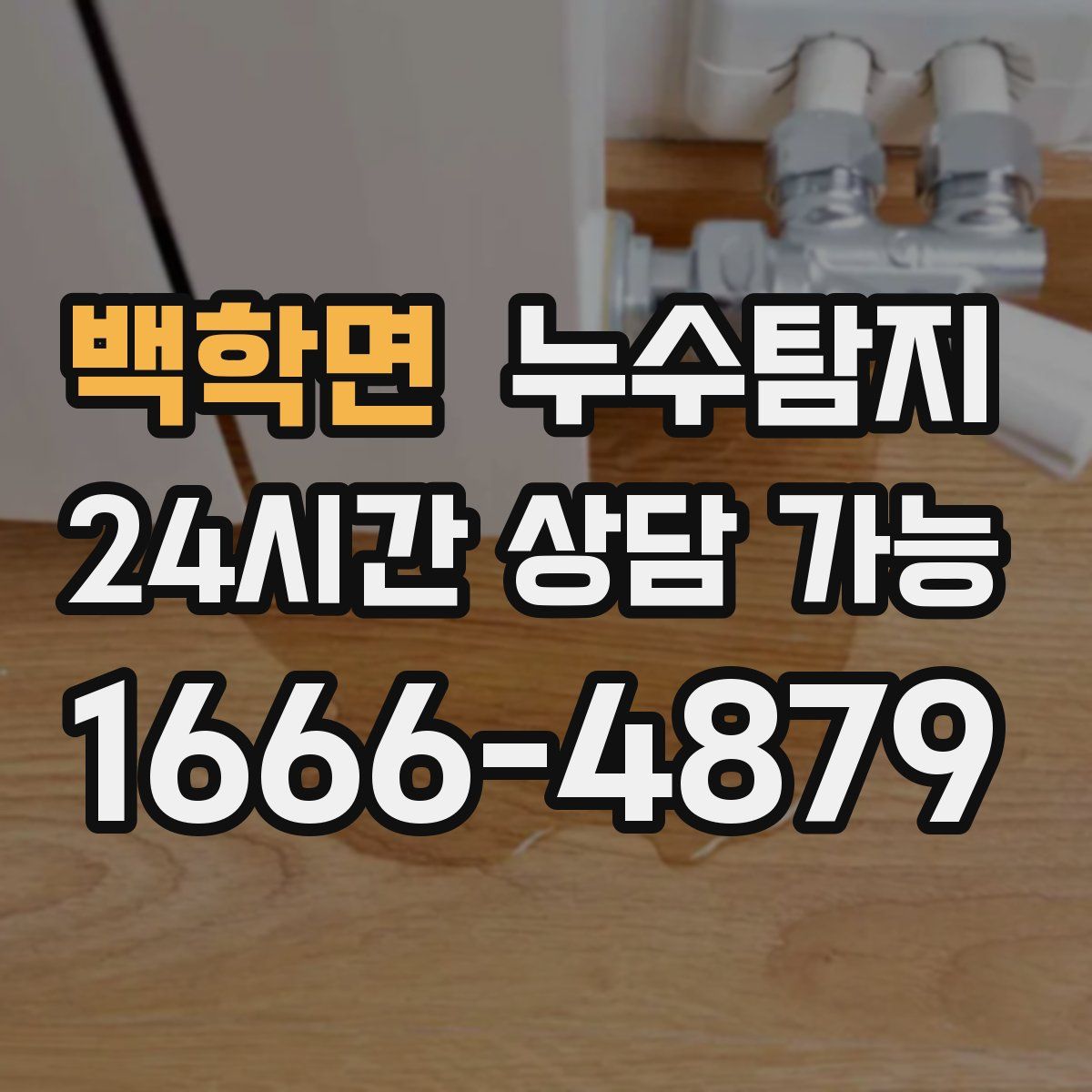 백학면 누수탐지