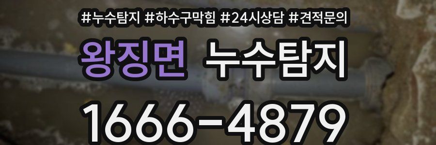 누수탐지